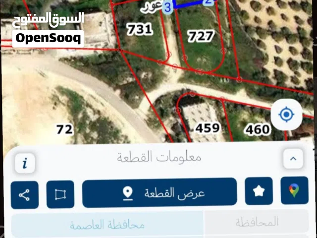 Residential Land for Sale in Amman Naour