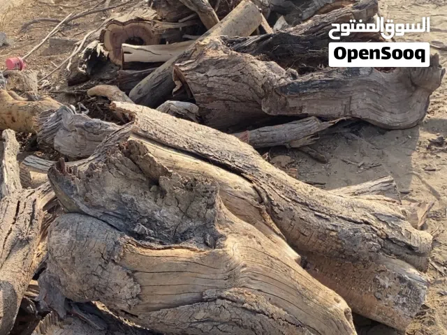 للبيع حطب سمر
