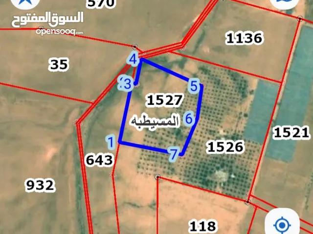 مزرعه للبيع مزروعه ومنتجه جاهزه من مالك مباشر