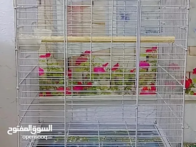 قفص كاسكو كبير الرتفاع 160 جديد كلش