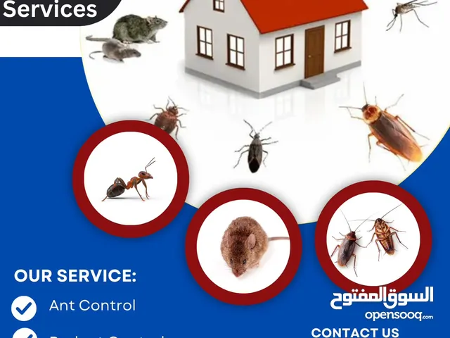 Pest control services big offer just only 14 BHD