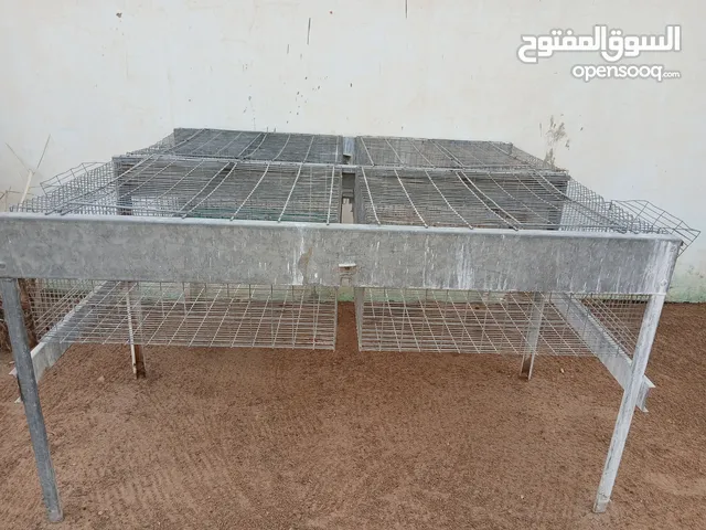 بتارية أرانب كاملة وفقاصة 300 بيضة للبيع ...
