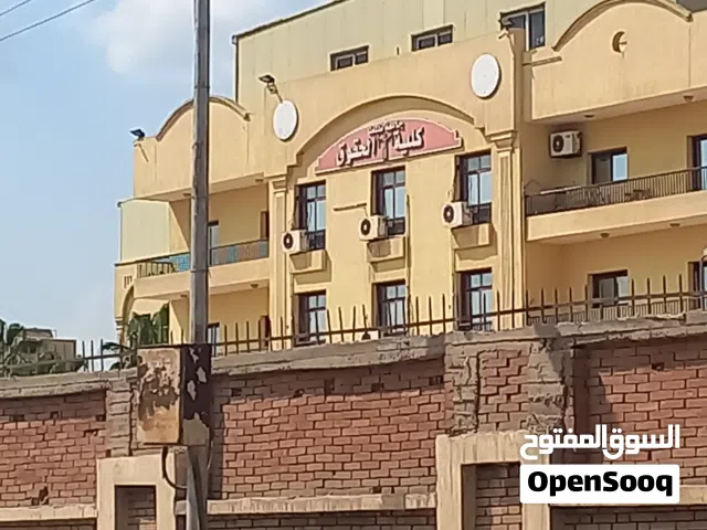 700 m2 Studio Apartments for Sale in Tanta Stadium Area