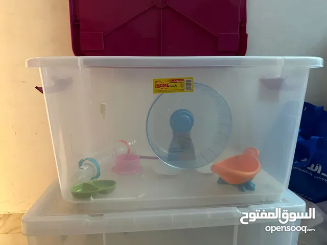 اغراض علب ولعب للهامستر
