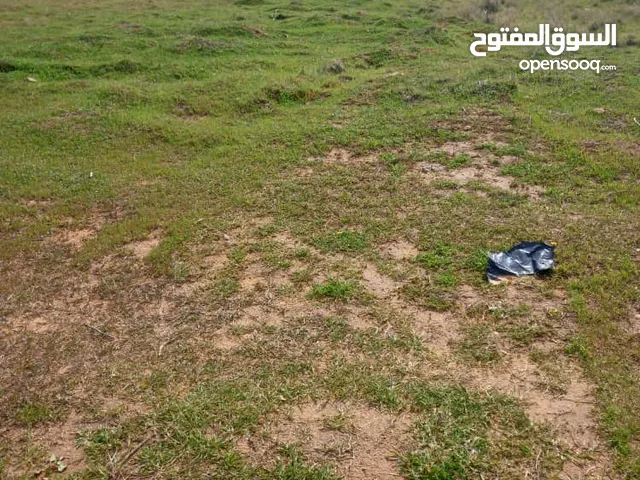 غنيمة ..نقبل عشرينات وخمسات تريلية عادي او حوالة مصرفية