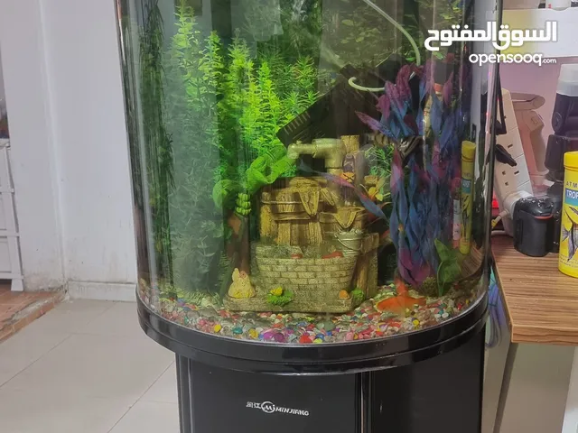 aquarium حوض سمك مميز