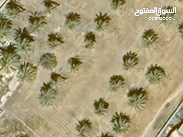 ارض تجارية للبيع