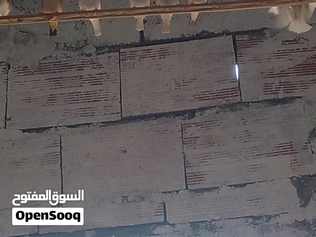 سلام عليكم  متوفر زيبره  مشوشه وعاديه
