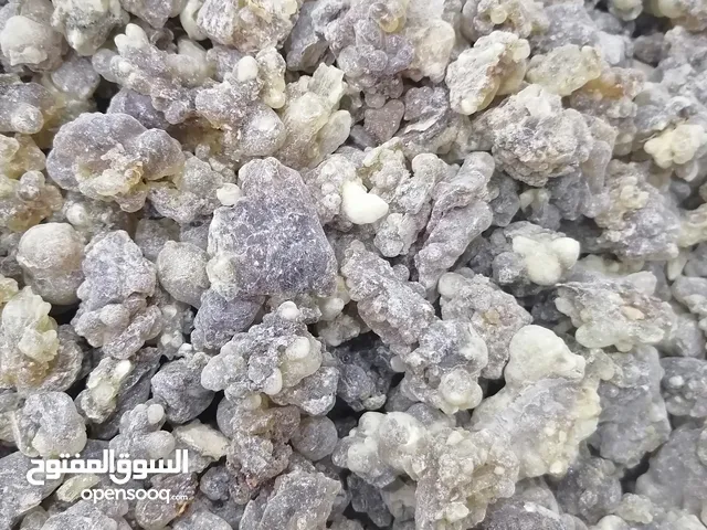 احود انواع اللبان الحوجري للبخور والدكر للاكل والعلاج والبخور وبسعار ممتازه
