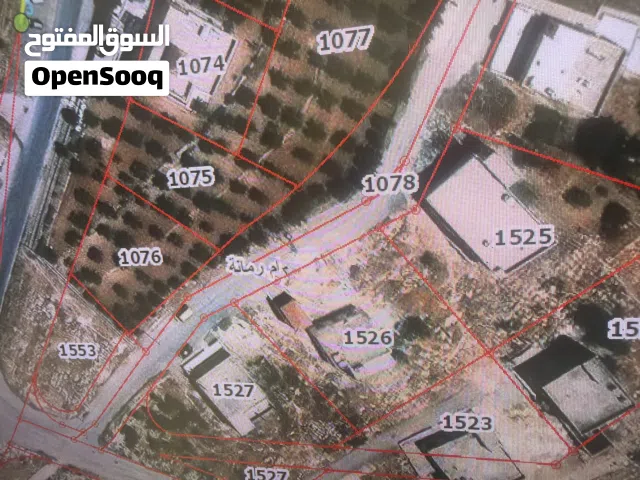 مطلوب ارض للشراء ام رمانه