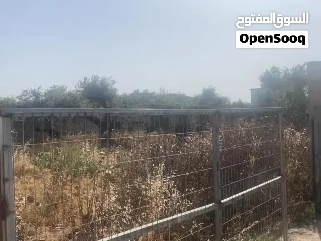 Farm Land for Sale in Qalqilya Jayus