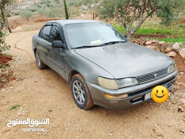 Used Toyota Corolla in Jerash