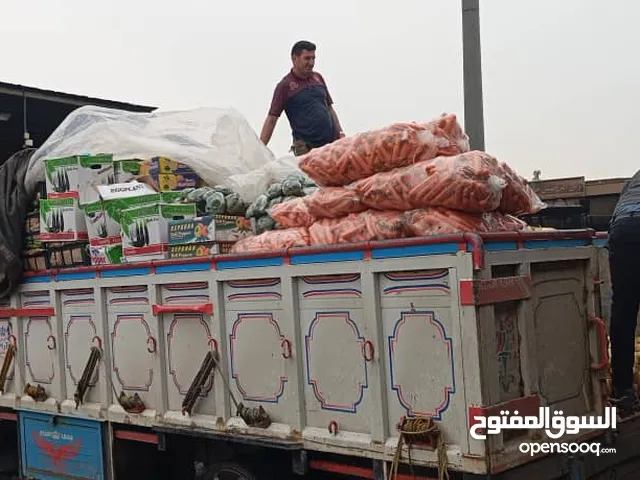 تورید فواکه و خضار طازجه من ایران باسعارجمله