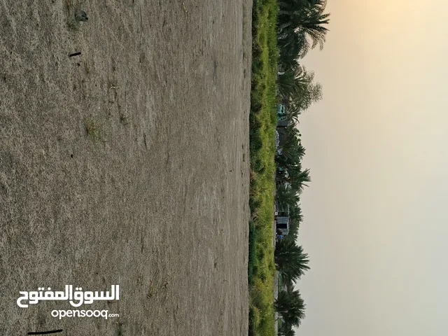 للبيع رودس علف للحلال