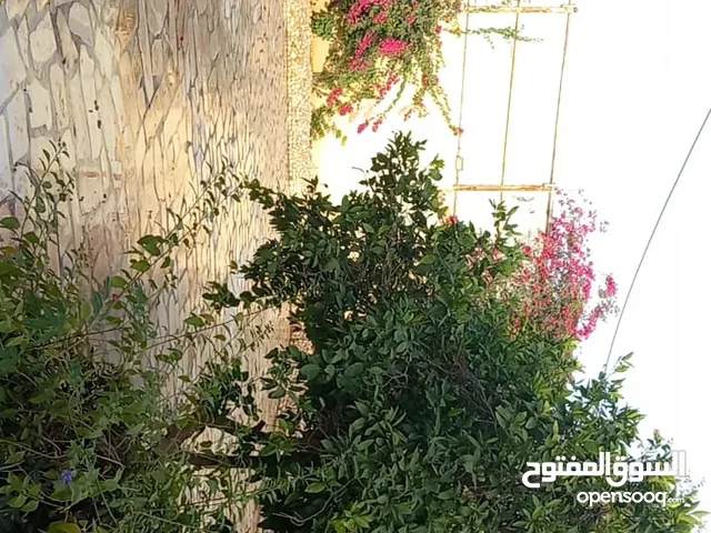 مزرعة الروضة