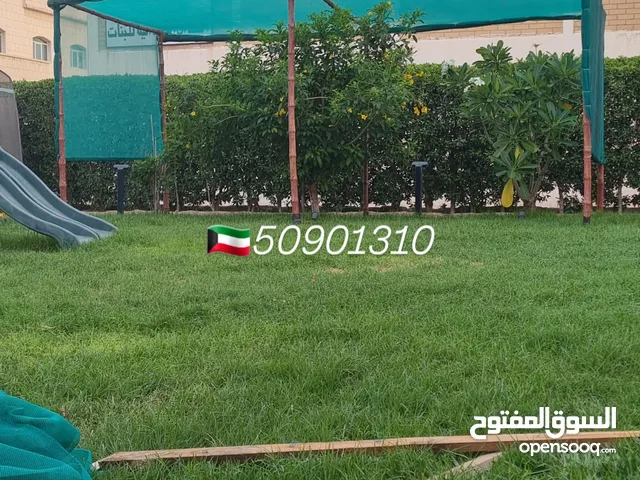 arish kuwait old bamboo house0