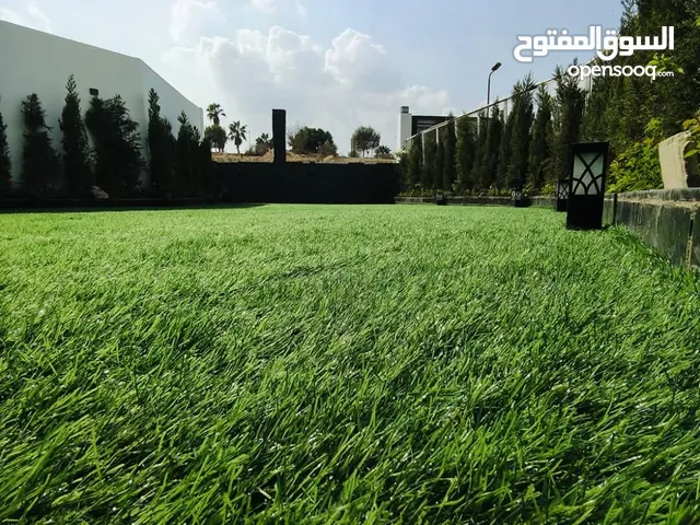 نجيل صناعي هولاندي أعلي جودة وافضل سعر وضمان 8 سنين افرش الجاردن و الروف وشوف الفرق