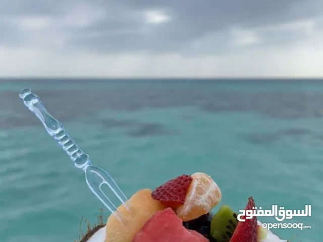 كابتن قارب يبحث عن عمل في مجال القوارب واليخوت بالإمارات