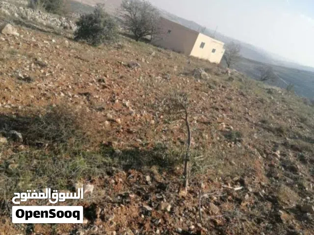 Farm Land for Sale in Al Karak Other