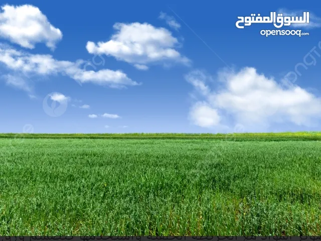 Mixed Use Land for Sale in Hebron Tapuah