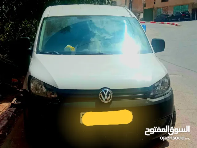 كادي شصي طويل