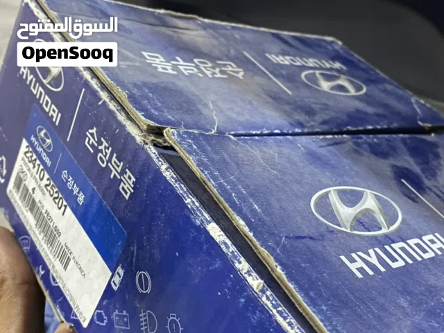 بساطين سوناتا 24