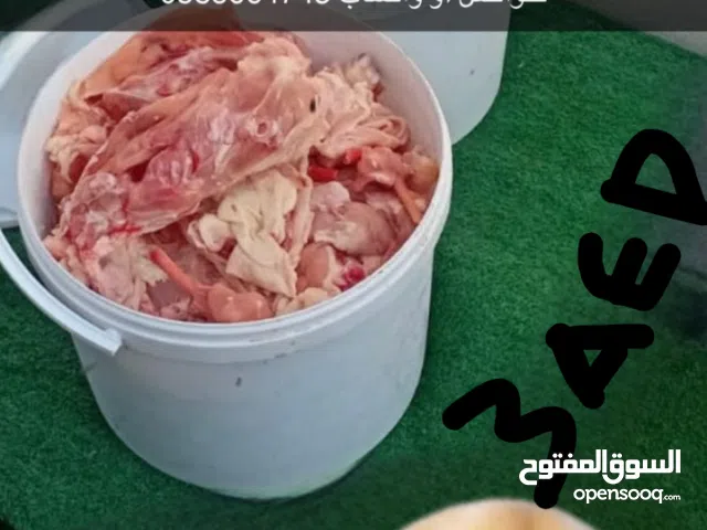 قطع دجاج dogs and animals fresh food اكل كلاب وحيوانات طازج 3 درهم الكيلو