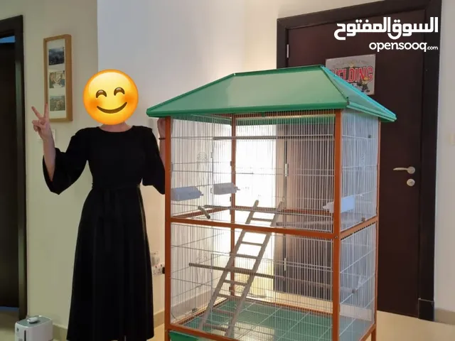 Bird Lovely Cage