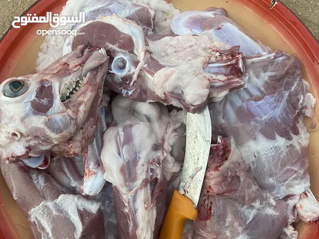 ذبايح عمر 3 شهور