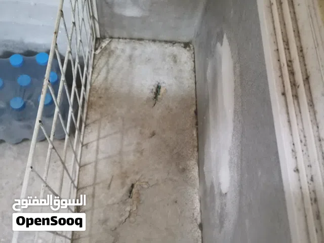 مجمده للبيع