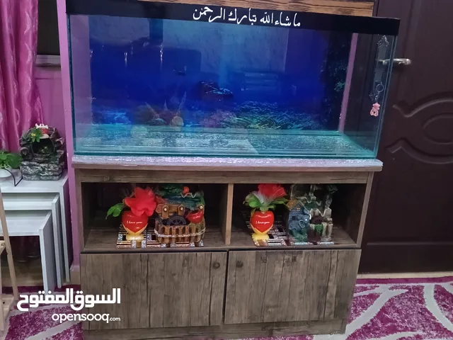 حوض متر تفصيل مع الطاولة