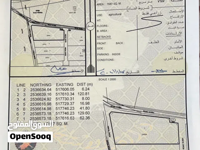 ارض زراعيه شبك للبيع