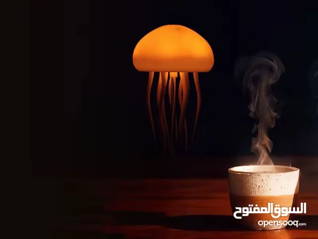 ديبلام جديد