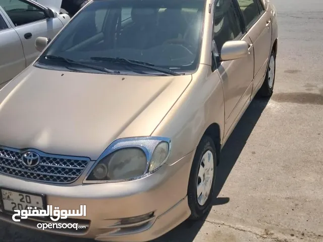 Used Toyota Corolla in Ma'an
