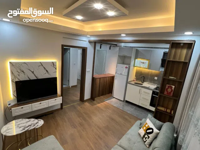 Furnished Daily in Istanbul Fatih