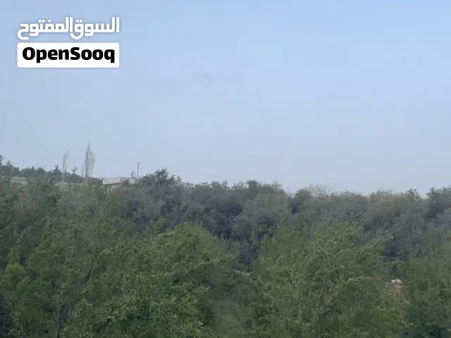 ارض في منطقه زبود حسبان مساحه 6 دونم قوشان مستقل من المالك مباشره قابل للتفاوض