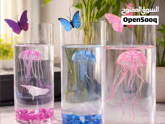 متوفر اسماك فايتر الوان جميله