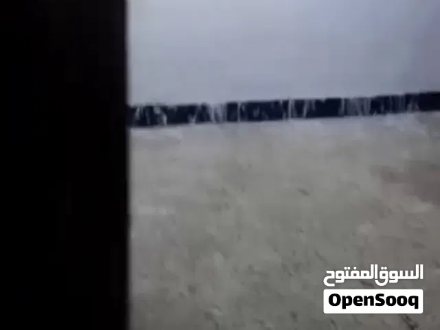 شقه في معقل  فلكه الساعه