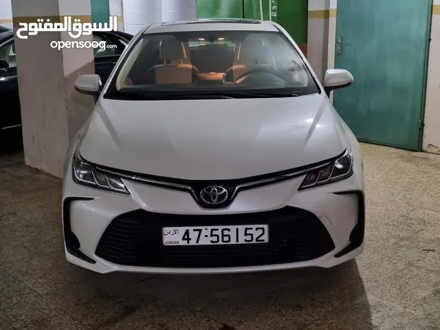 Toyota Corolla 2020 لون لؤلؤي