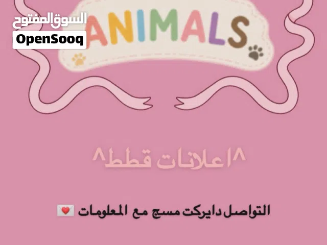 لعرض قططكم او ادوات قطط او حيوانات
