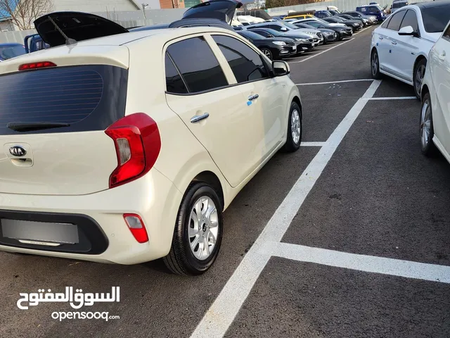 امير ربيع كيا