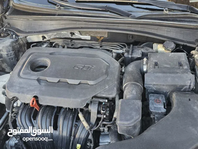 اوبتما وارد امريكي 2019