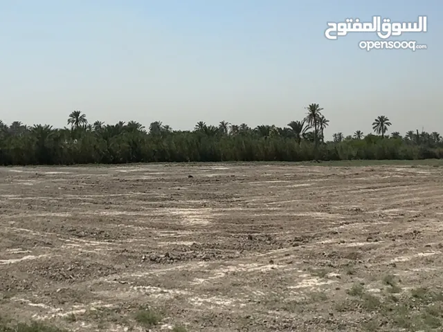 Residential Land for Sale in Basra Al-Jazzera