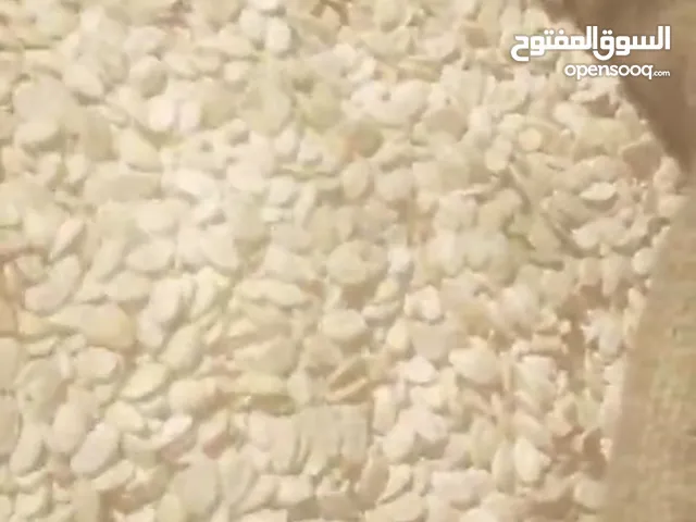 watermelon seeds لب سوبر مصري