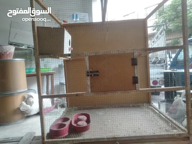 مطايروحوض.سمك