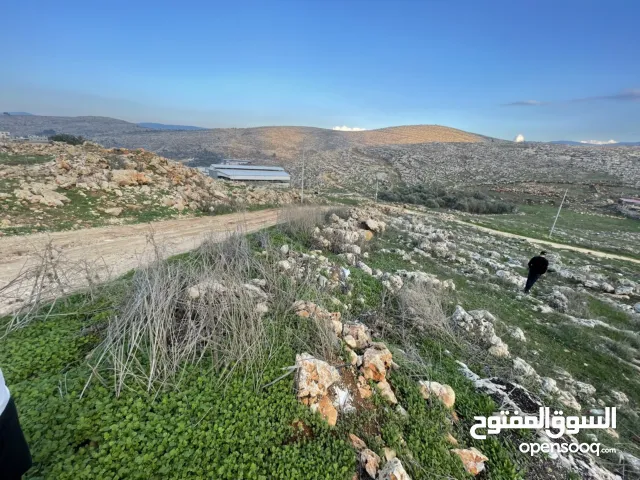 نمرة أرض للبيع او البدل ع سيارة بمنطقة روجيب مساحتها 600متر واصلها خدمات طابو نابلس