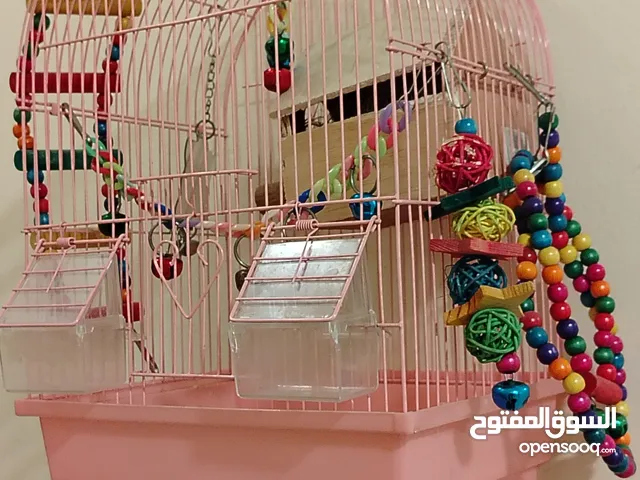 قفص عصفور وردي مع زينه استعمال خفيف شبه جديد