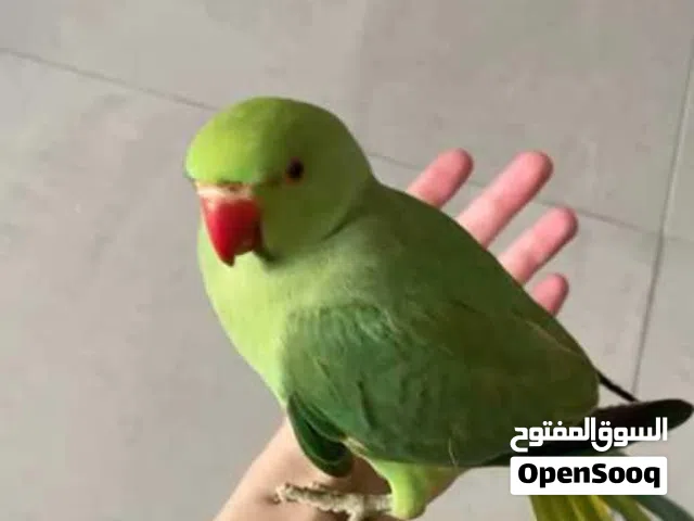 تابع الوصف قبل التواصل