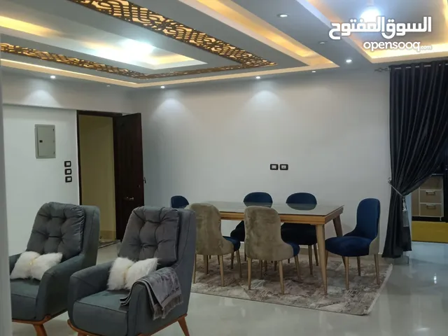 Furnished Daily in Cairo Nasr City