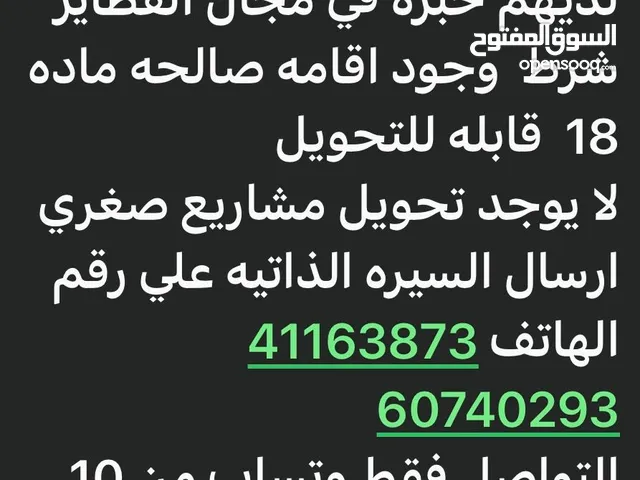 مطلوب للعمل في مطاعم فطاير